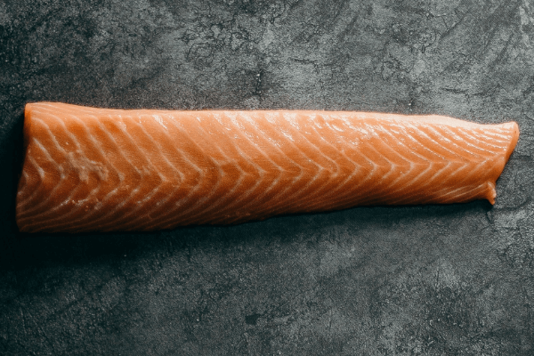 Salmon - used in Venison Dog Food