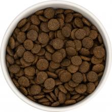 Senior Dog Food Turkey with Sweet Potato & Cranberry 15kg